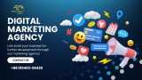 Digital Marketing Agency